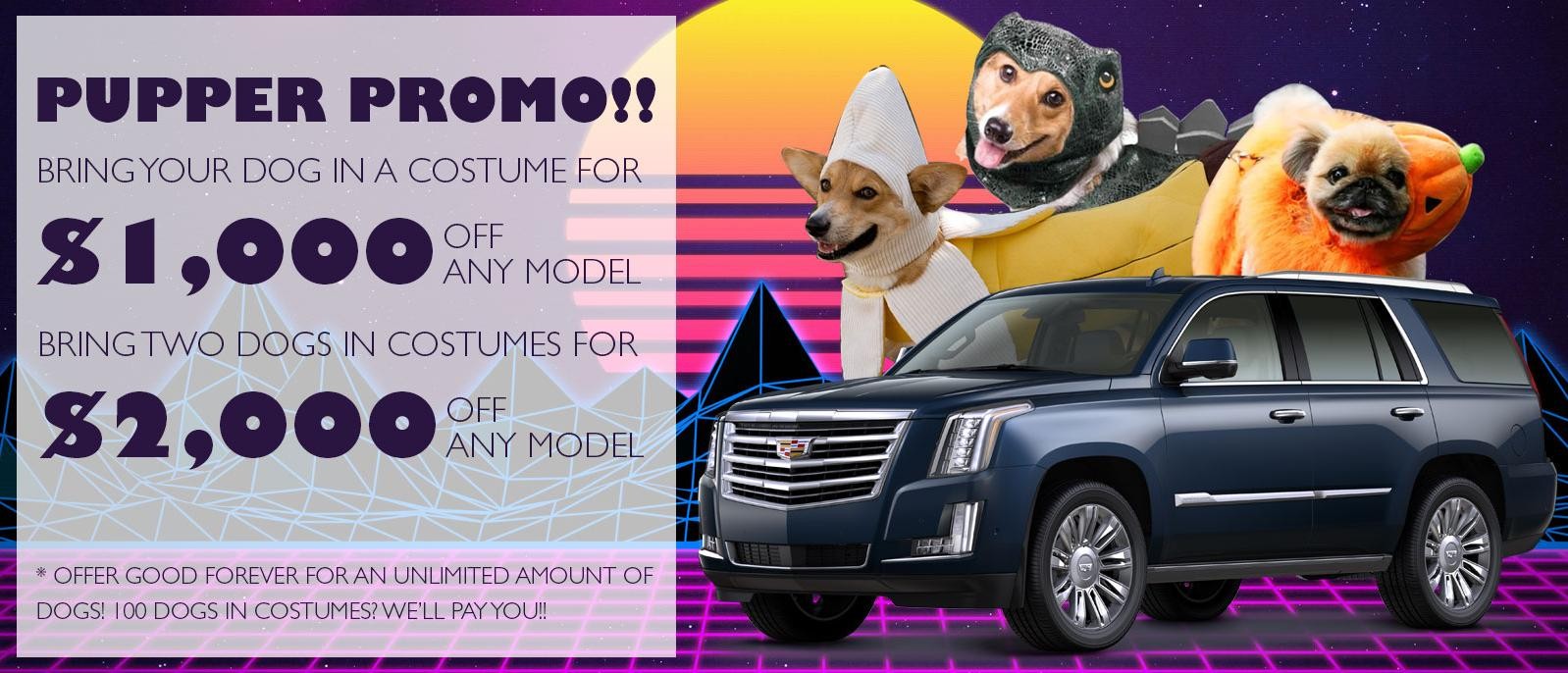 Pupper promo!!