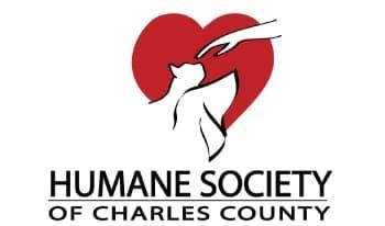 human society