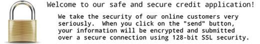 Safe and Secure credit Application
