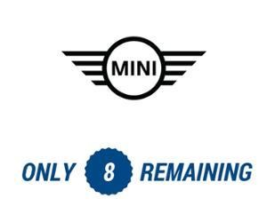 Mini only 8 Remaining